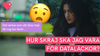 Hur skraj ska jag vara för dataläckor? Bryr sig någon om vad jag gör på Facebook? Parisa Amiri för Internetkunskap