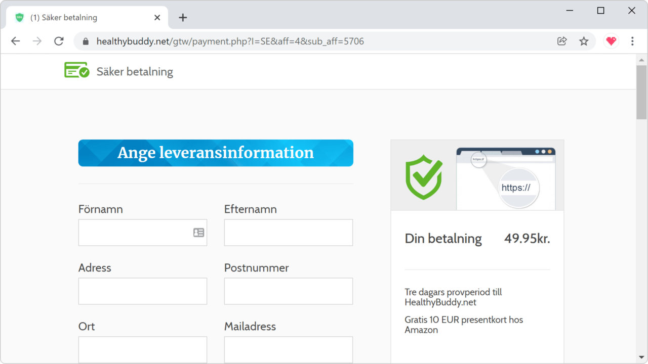 En falsk betalningssida på webbplats.