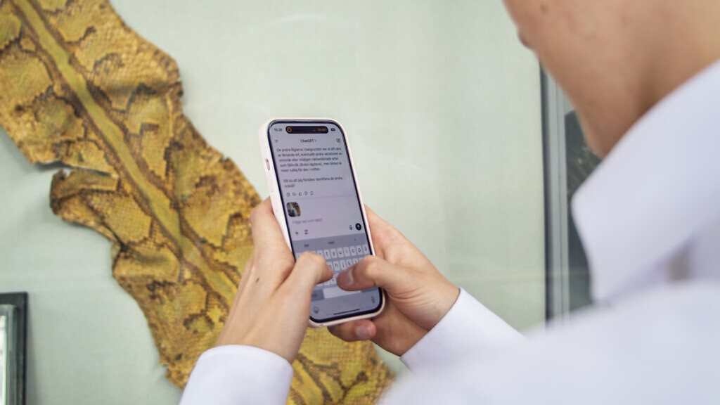 En person använder ChatGPT på sin mobil.